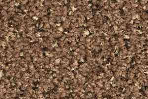 Ковролин Balsan Tango Tango 740 фото  | FLOORDEALER