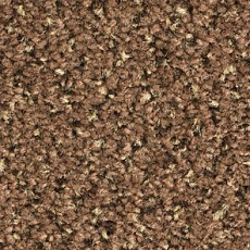 Ковролин Balsan Tango Tango 740 фото 1 | FLOORDEALER