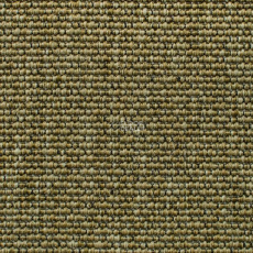 Carpet Concept Eco Iqu 40593 фото 1 | FLOORDEALER