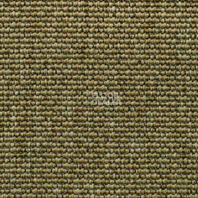 Ковролин Carpet Concept Eco Iqu 40593 фото 1 | FLOORDEALER
