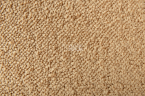 Lano Sense Pure 338 фото 3 | FLOORDEALER