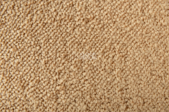 Lano Sense Pure 338 фото 3 | FLOORDEALER