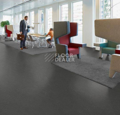 Forbo Marmoleum Solid Concrete 3725 cosmos фото 4 | FLOORDEALER