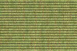 Ковролин Balta ITC Aristocrat 15 фото  | FLOORDEALER