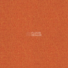 Ковровая плитка Tarkett Sky Original Sky 27482 фото 1 | FLOORDEALER