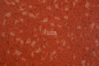 Tarkett Acczent Pro Aspect 8 фото 1 | FLOORDEALER