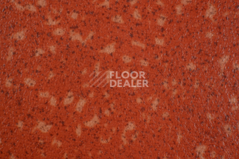 Линолеум Tarkett Acczent Pro Aspect 8 фото 1 | FLOORDEALER