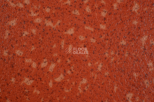 Линолеум Tarkett Acczent Pro Aspect 8 фото 1 | FLOORDEALER