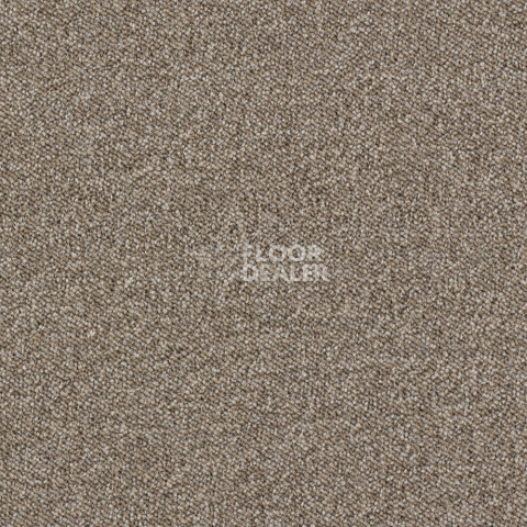 Ковролин Associated Weavers Maxima 37 фото 1 | FLOORDEALER