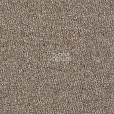 Ковролин Associated Weavers Maxima 37 фото 1 | FLOORDEALER