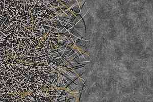 Ковролин Flotex by Starck Vortex 314006 Vortex Gold a4 фото  | FLOORDEALER