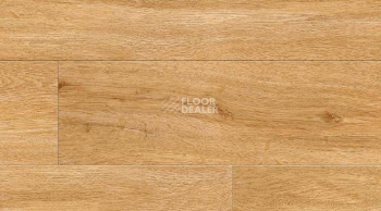 Кварцвиниловые полы Creation 55 0870_Quartet_Honey фото 1 | FLOORDEALER