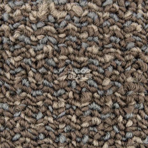 Neuflor Sandunes 300505 фото 2 | FLOORDEALER