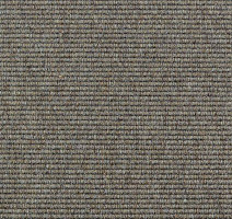 Ковролин Carpet Concept Goi 2 2609 фото 1 | FLOORDEALER
