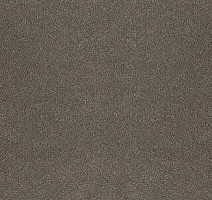 Ковролин Desso Asteranne 9003 фото 1 | FLOORDEALER