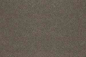 Ковролин Desso Asteranne 9003 фото  | FLOORDEALER