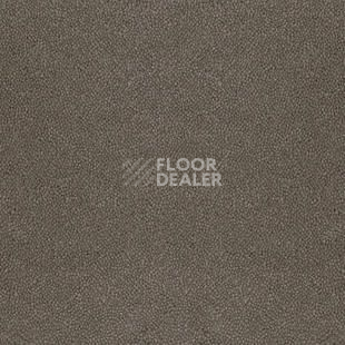 Ковролин Desso Asteranne 9003 фото 1 | FLOORDEALER