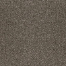 Desso Asteranne 9003 фото 1 | FLOORDEALER