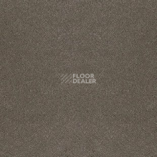 Ковролин Desso Asteranne 9003 фото 1 | FLOORDEALER