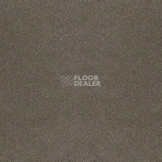 Ковролин Desso Asteranne 9003 фото 1 | FLOORDEALER