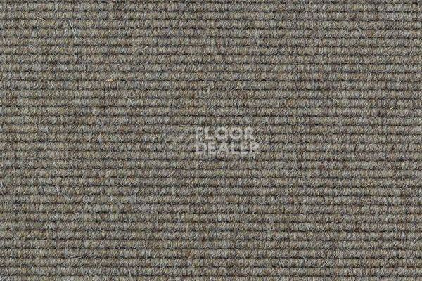 Ковролин Carpet Concept Goi 2 2609 фото 1 | FLOORDEALER