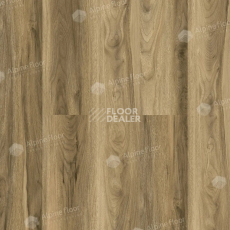 Кварцвиниловые полы Alpine Floor Nut 4мм Ногал ECO 22-3 фото 1 | FLOORDEALER