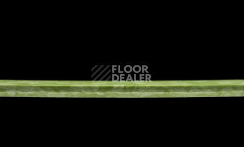 Tarkett iq Melodia 2621 фото 4 | FLOORDEALER