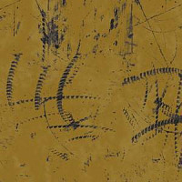 Ege Highline Graphic rf 55001004 фото 1 | FLOORDEALER