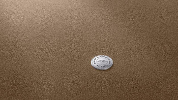 Ковролин Vorwerk Superior 1063 Vorwerk 7g81 фото 1 | FLOORDEALER