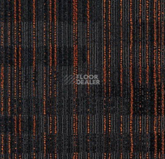 Ковровая плитка Tessera Alignment 237 Sunspot фото 1 | FLOORDEALER