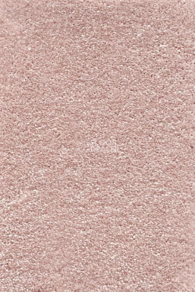 Ковролин AW Promenade 62 фото 1 | FLOORDEALER