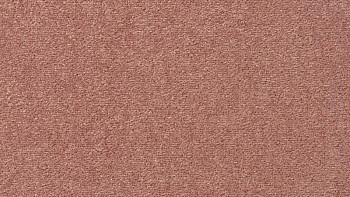 Ковролин Vorwerk Passion 1004 Vorwerk 1m07 фото 1 | FLOORDEALER