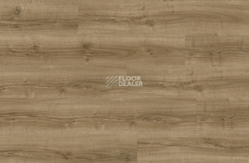 Next Acoustic дерево SILKY OAK 235 BO фото 4 | FLOORDEALER