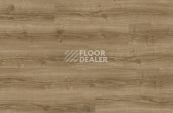 Moduleo Next Acoustic дерево SILKY OAK 235 BO фото 4 | FLOORDEALER