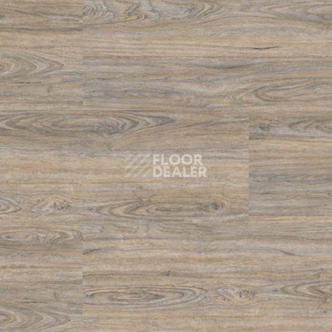 Wood замковое CORK OAK LEACHED фото 4 | FLOORDEALER