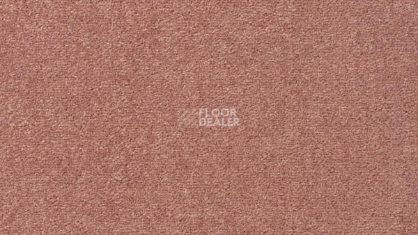 Ковролин Vorwerk Passion 1004 Vorwerk 1m07 фото 1 | FLOORDEALER