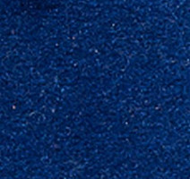 Ковролин Girloon Cronesse 330 фото 1 | FLOORDEALER