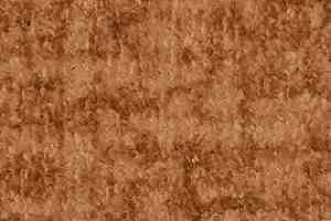 Ковролин AW Beau Rivage 80 фото  | FLOORDEALER