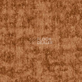 Ковролин AW Beau Rivage 80 фото 1 | FLOORDEALER