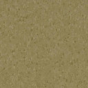 Линолеум Forbo Sphera Element 50069 dark moss  | FLOORDEALER