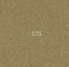 Линолеум Forbo Sphera Element 50069 dark moss фото 1 | FLOORDEALER