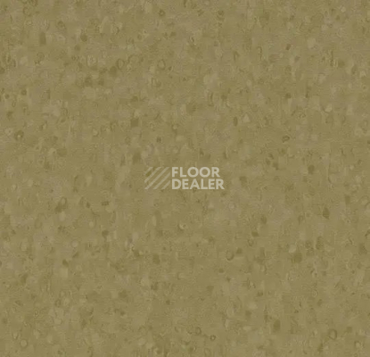 Линолеум Forbo Sphera Element 50069 dark moss фото 1 | FLOORDEALER