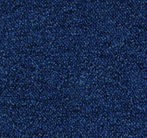 Ковролин Desso Pallas-Brlm 8803 фото 1 | FLOORDEALER