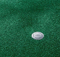 Ковролин Vorwerk Superior 1064/Lyrica Vorwerk 4g75 фото 1 | FLOORDEALER