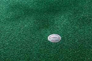 Ковролин Vorwerk Superior 1064/Lyrica Vorwerk 4g75 фото  | FLOORDEALER