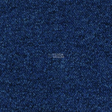 Desso Pallas-Brlm 8803 фото 1 | FLOORDEALER