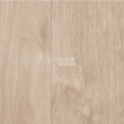 Линолеум Grabo Silver Knight Acoustic 7 1001_384_874_275 фото 1 | FLOORDEALER