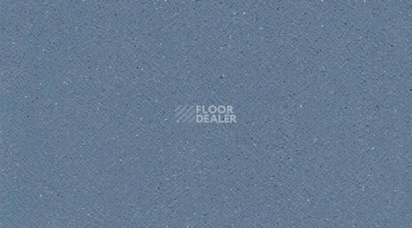 Линолеум Tarasafe Plus 7438_Baleine фото 1 | FLOORDEALER