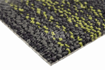Neuflor City 2009-13 + New Leaf фото 4 | FLOORDEALER