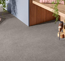 Vorwerk Superior 1072/Nutria Comfort Vorwerk 5x61 фото 2 | FLOORDEALER